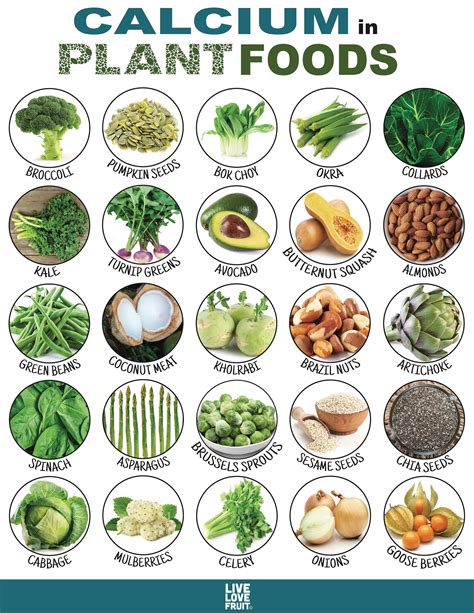 Jul 02, 2021 · calcium and dairy products. 25 Calcium-Rich Plant Foods That DON'T Come From Dairy ...