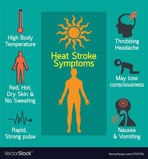 Heat Stroke Infographic Royalty Free Vector Image