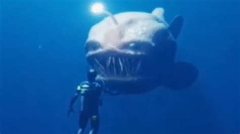 Terrifying Sea Monsters Scarier Than The Megalodon Youtube