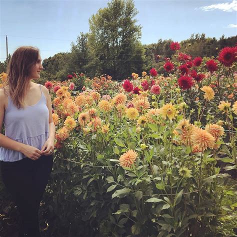 this u pick flower farm outside montreal lets you frolic through the fields photos mtl blog