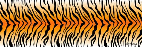 Pattern Striped Tiger Or Zebra Skin Print Background Long Banner