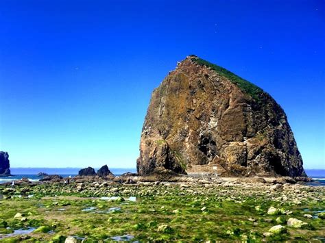 Oregon Coast Haystack Rock in Cannon Beach Oregon | Cannon beach oregon, Cannon beach, Oregon 