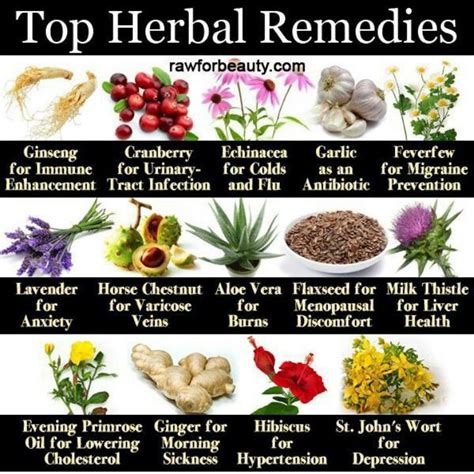 Wonderful Herbs Herbalism Healing Herbs Herbs For Health