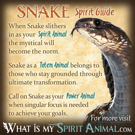 Are you a wolf, lion or an eagle? Snake Symbolism & Meaning | Spirit, Totem & Power Animal