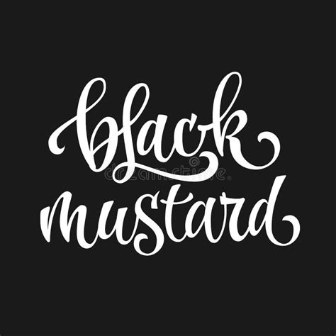 Black Mustard Vintage Illustration Stock Vector Illustration Of Line