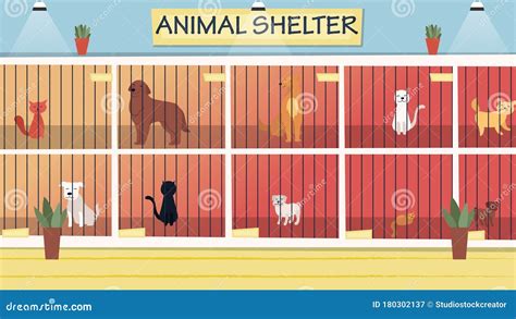 Animal Shelter Concept Lonely Animals In Cages Wait For The Adoption