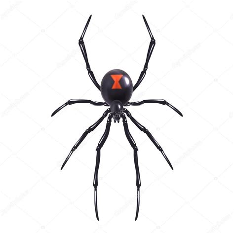 21 Black Widow Spider Vector In Transparent Clipart 140kb Top Png