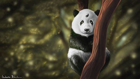 Panda Hd Wallpaper Background Image 1920x1097 Id976551