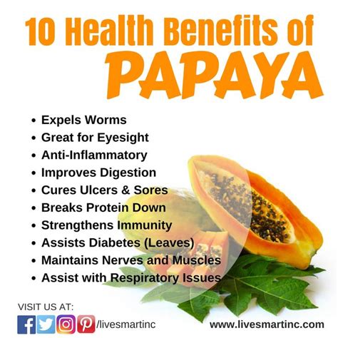 10 Health Benefits Of Papaya Health