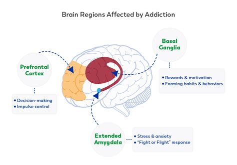 How Does Addiction Affect The Brain Ask Our Doctors By Journeypure
