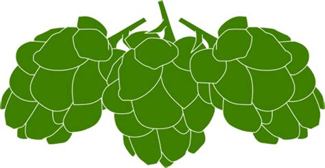 Download High Quality Beer Clipart Hop Transparent Png Images Art