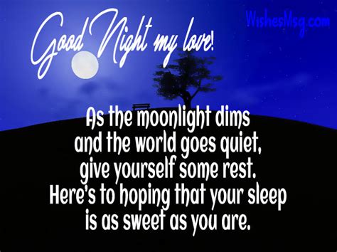 Good Night Message For My Wife To Make Her Happy Romantic Good Night