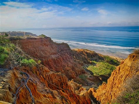 Torrey pines state park and beach offer a glimpse of the natural environment found along the southern california coast. Torrey Pines State Beach from the Razor Point Trail.