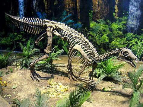 The Dinosaurs And Prehistoric Animals Of Utah Prehistoric Animals