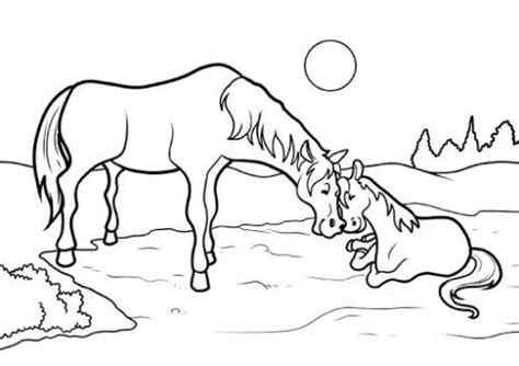 Ritratto realistico del cavallo della foto. Disegno Stilizzato Bambina Con Cavallo : Disegno Per ...