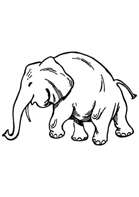 35 Desenhos De Elefantes Para Colorir