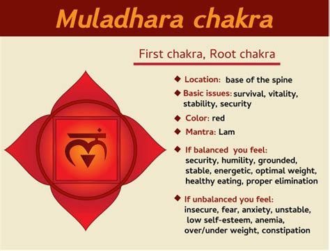 The 7 Chakras The Ultimate Guide For Beginners