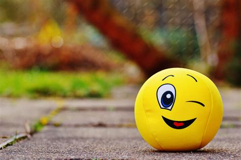 Free Images Sweet Cute Yellow Fabric Face Fun Ball