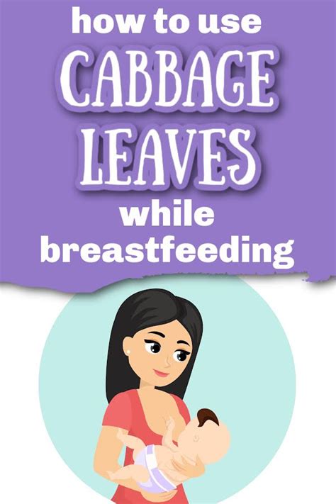 How To Use Cabbage Leaves For Engorgement Mastitis And Weaning