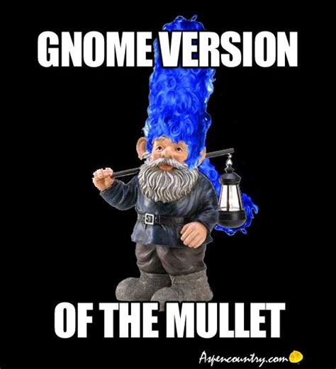 Gnome Meme Gnome Version Of The Mullet Funny Gnomes Funny Garden