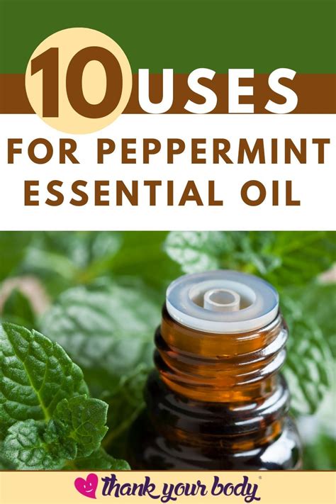 Uses For Peppermint Essential Oil In Natural Cleaning Recipes