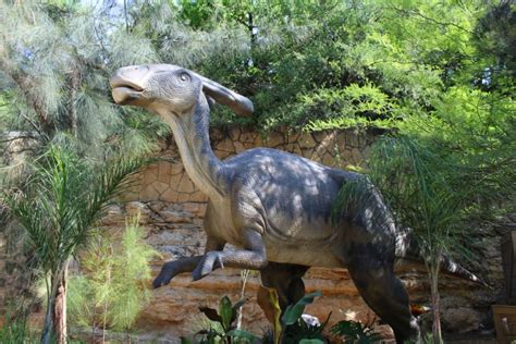 Check spelling or type a new query. Use Your San Antonio Zoo Membership to Explore Zoorassic ...