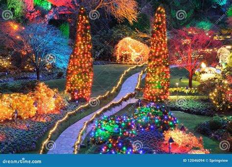 Christmas Lights In Butchart Gardens Stock Photography Cartoondealer