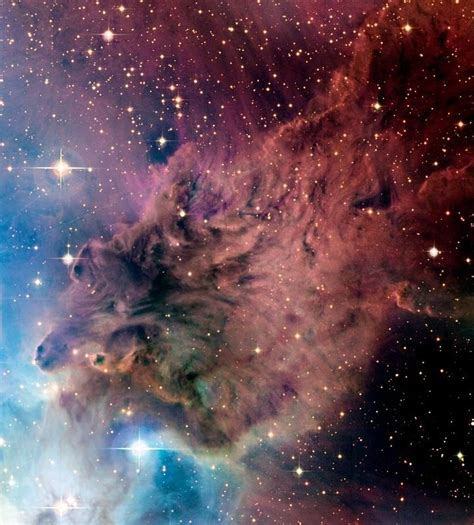 Fox Fur Nebula Nebula Space Photography Space And Astronomy