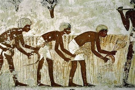 Agriculture In Ancient Egypt Ancient Egyptian Ancient Egyptian Art Egyptian Art