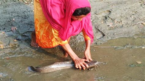 Beautiful Girl Fishing Fish Catching By Hand In Mud Water Village