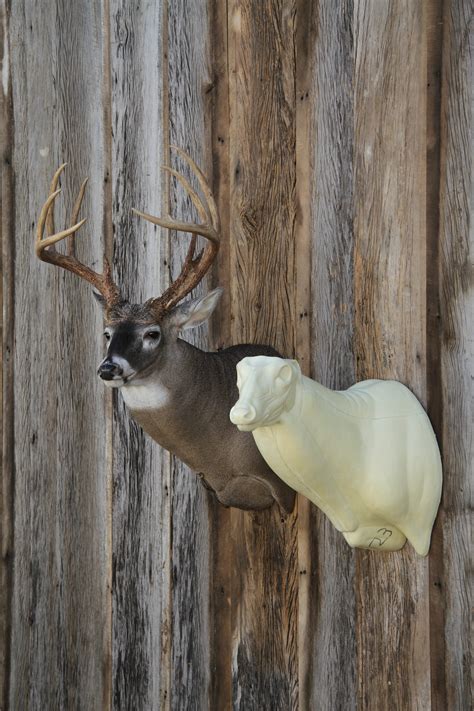 Home Mears Whitetail Forms