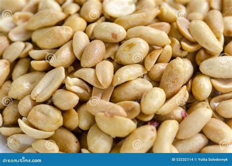 Peanuts Stock Photo Image Of Crops Objects Gourmet 53232114