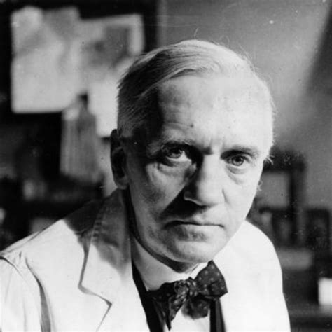 Gestión Óptima Del Tiempo Alexander Fleming El Hombre Que Salvó