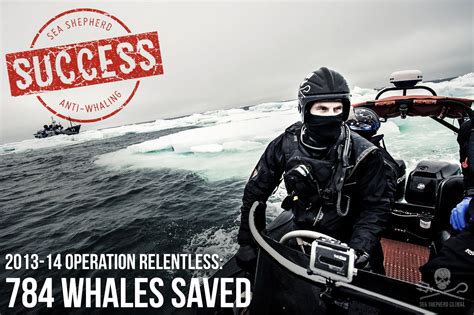 During Operation Relentless Sea Shepherds Efforts In The Southern
