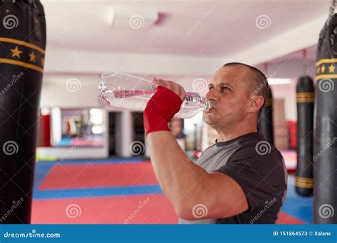 Boxer Drinking Water Stock Image Image Of Masculine 151864573