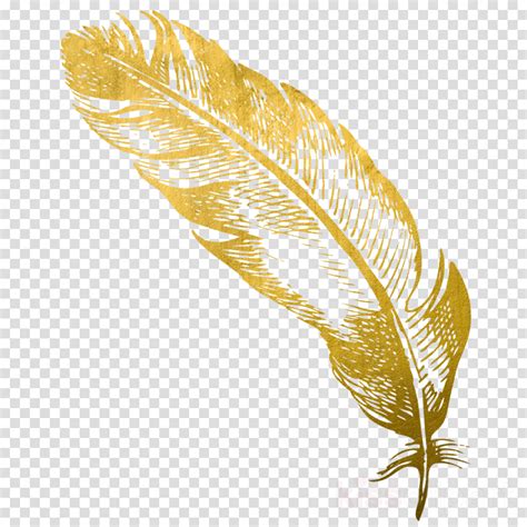 Gold Feather Clipart 10 Free Cliparts Download Images On Clipground 2024