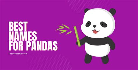 499 Best Panda Names How To Choose A Perfect Panda Name