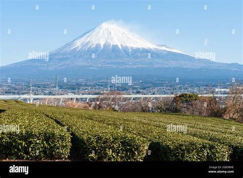 Mount Fuji With Snow And Green Tea Plantation In Yamamoto Fujinomiya