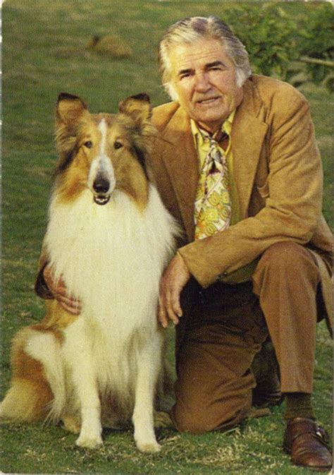 What Is A Lassie Dog Called Ella Scholten Coiffure
