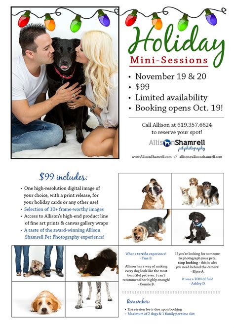 Portraits For Pooches Mini Holiday Photo Sessions With Pets San