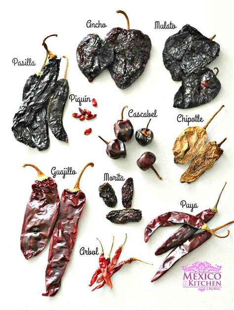 A Beginner S Guide To Mexican Dried Peppers Artofit