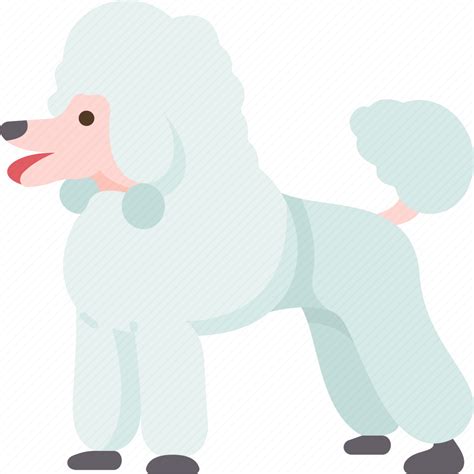 Dog Poodle Pet Pedigreed Canine Icon Download On Iconfinder