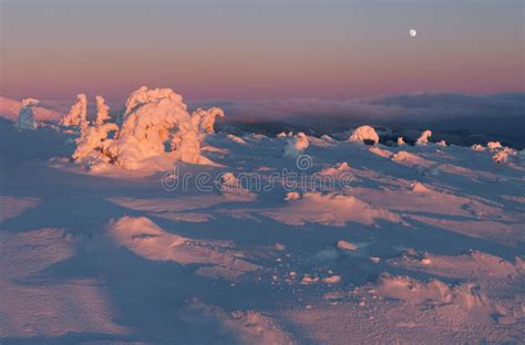 Winter Wonderland Stock Photo Image Of Freeze Mountains 29177306