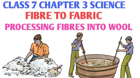 Processing Fibres Into Wool Class 7 In Hindi How Wool Is Obtained