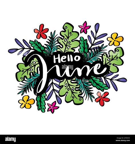 Hello June Hand Lettering With Floral Ornament Greeting Card Stock