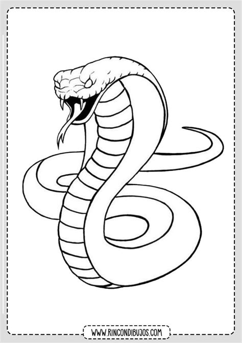 Dibujo Cobra Colorear Rincon Dibujos Dibujo De Serpiente P Ginas