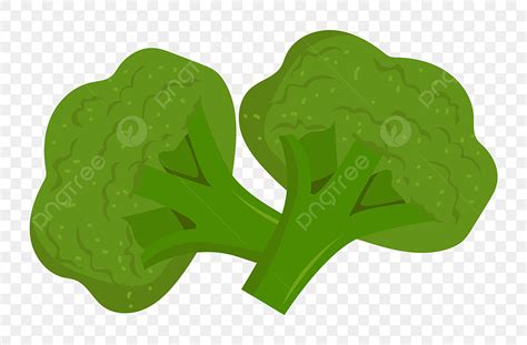 Gambar Brokoli Hijau Brokoli Organik Sayuran Tangan Ilustrasi Kartun