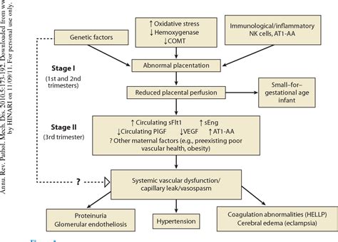 Figure 1 From Pathogenesis Of Preeclampsia Semantic Scholar