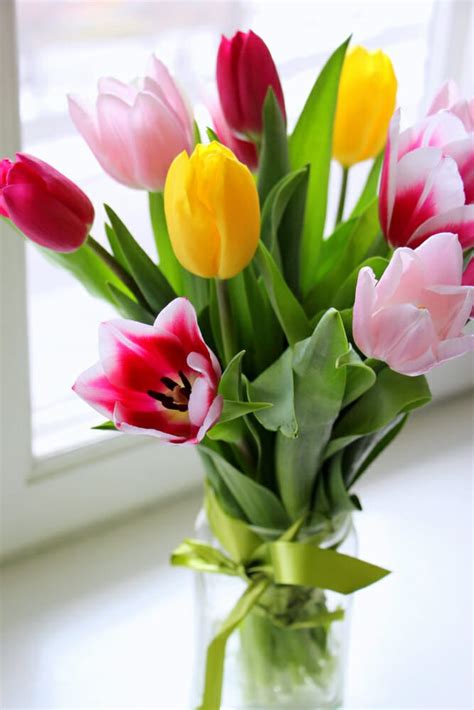 Ordina fiori buon compleanno italia e consegna a domicilio da qfiori.it. Fiori per compleanno: ad ognuno il suo fiore di buon ...