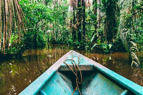 Visiting Brazils Amazon Rainforest Cn Traveller